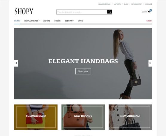 Shopy-ThemeJunkie-compressor Shopy - ThemeJunkie