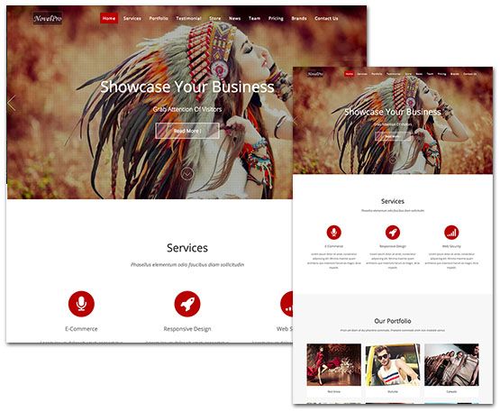 NovelPro-ThemeHunk NovelPro - ThemeHunk
