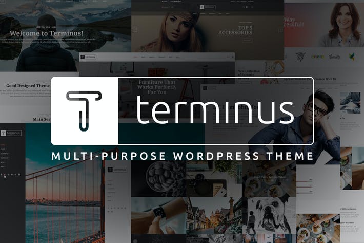 5cc17ca4-704f-4b7a-9607-31b43d29b8d7.jpeg Terminus - Multi-Purpose WordPress Theme - Image 1