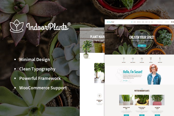 93d3f38d-5565-4ee9-87df-371a5f9e0280.jpeg Indoor Plants - Houseplants store & Gardening WP - Image 1