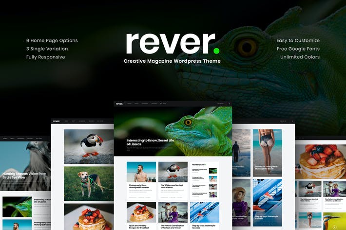 b5085324-fb88-4c13-9c9d-1c9c8f94d7ca.jpeg Rever - Clean and Simple WordPress Theme - Image 1