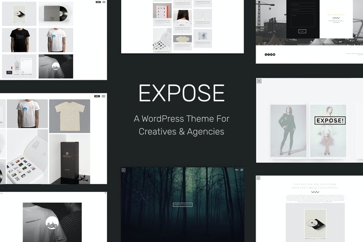 ce3b83b0-bdee-4523-9c5c-19c497a55aed.jpeg EXPOSE - Creatives & Agency WordPress Theme - Image 1