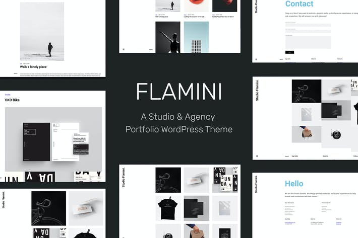 fb1f684b-9809-4a65-bbe1-d8c970067635.jpeg Flamini - Studio/Agency Portfolio WordPress Theme - Image 1