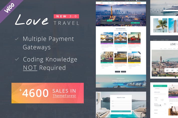 travel-wordpress-theme-WNXEBAQ.jpg Travel WordPress Theme - Image 1