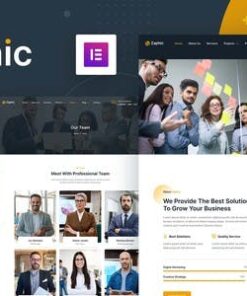 Zaphic - SEO & Digital Marketing Agency Elementor Template Kit