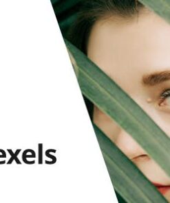 Pexels - Import Free Stock Images into WordPress